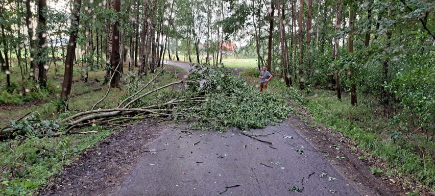 Silny wiatr wyrządził szkody na północy powiatu ostrołęckiego. Powiało w niedzielę 6.08.2023
