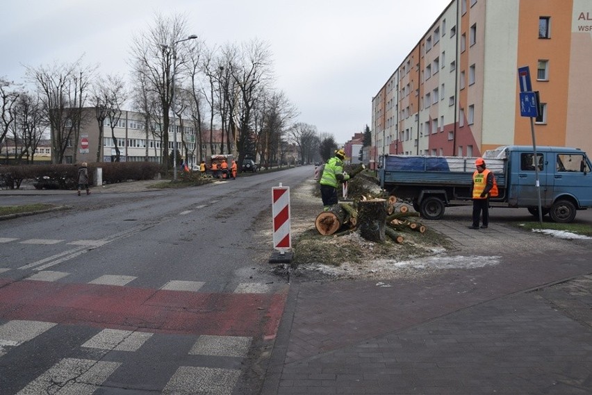 Wycinka drzew na alei Żołnierza w Stargardzie.