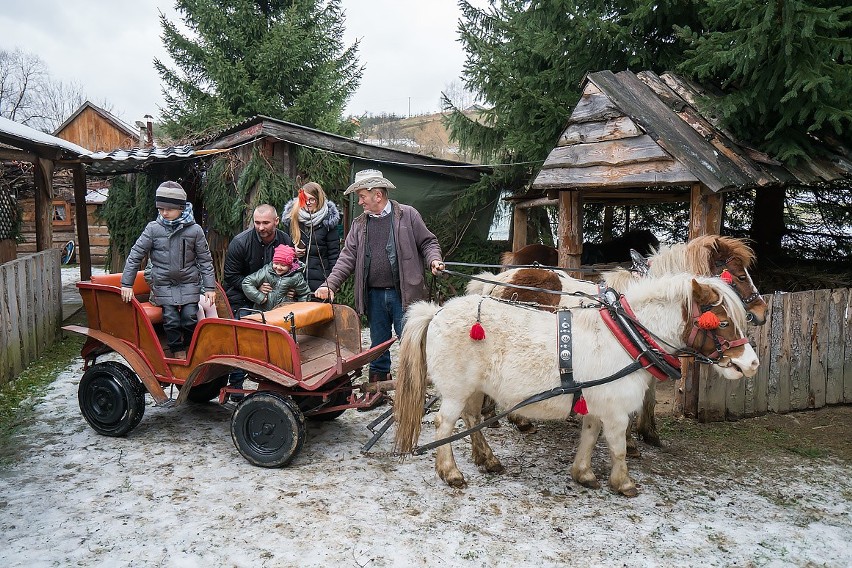 Żeleźnikowa Wielka jak Betlejem. Jan Cieślik zaprasza do żywej szopki.