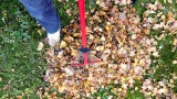 Prace ogrodowe w listopadzie - co można jeszcze zrobić