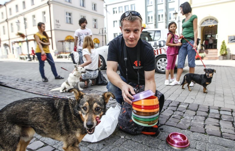 Akcja wystawiania misek z wodą dla czworonogów! Rzeszowscy...