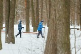 Zimowe szaleństwo na Dojlidach. Zobacz, jak białostoczanie spędzają czas na nartach i w saunie