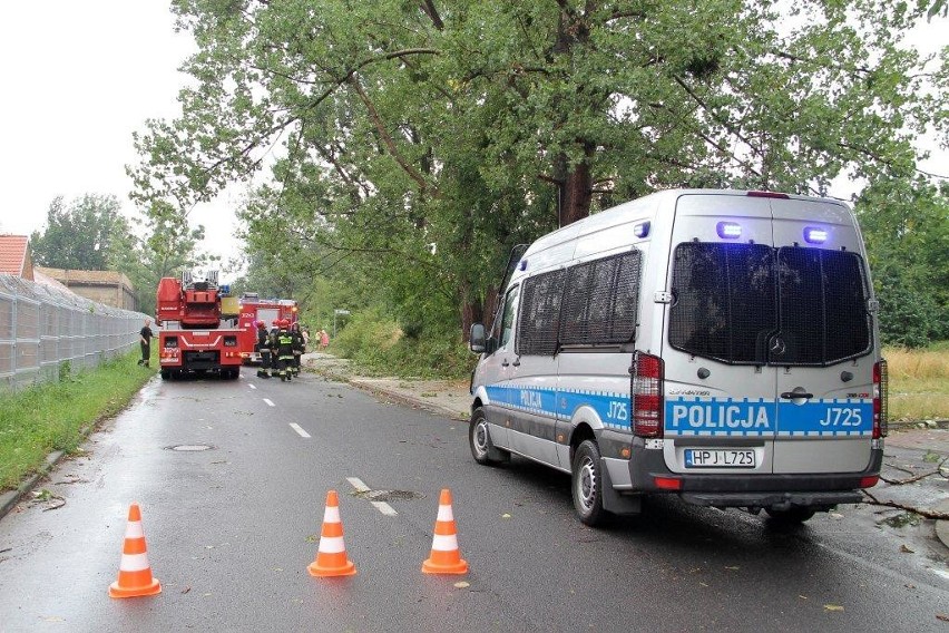 Strażacy usuwali drzewa z dróg i posesji w Opolu.