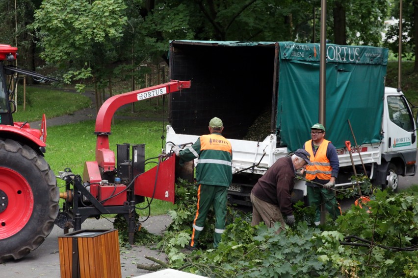 Około 1000 uszkodzonych drzew w Lublinie. Kilka dni potrwa usuwanie skutków nawałnicy. Zobacz zdjęcia
