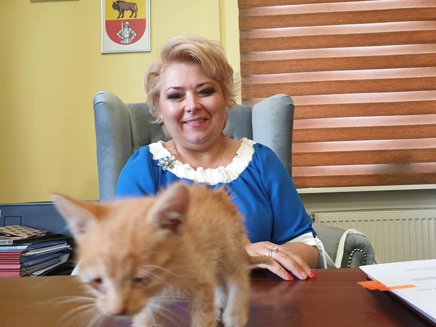 Sokółka: Ewa Kulikowska uratowała wychudzonego kotka z środka jezdni. Niestety zmarł [ZDJĘCIA, WIDEO]