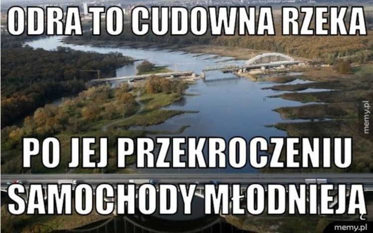 Co nas wkurza na drodze? NAJLEPSZE MEMY. Polskie drogi to prawdziwy survival