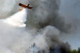 Płonie las pod Solcem Kujawskim - strażaków wspierają samoloty