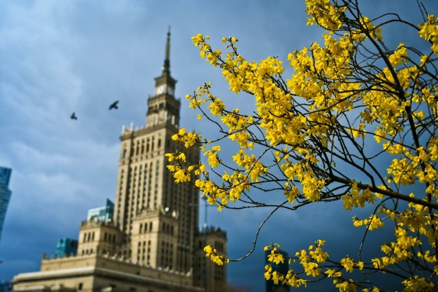 Okrągły milion lub 500 tys. euro czeka na europejskie miasto, które zyska tytuł Europejskiej Stolicy Innowacji.