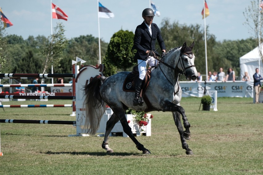 Włoski jeździec wygrał Grand Prix Poznania