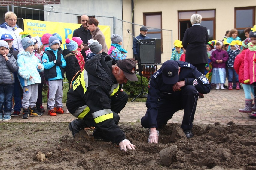 W Żorach zasadzili prawie 1000 żonkili, tworząc "Pole Nadziei" przy hospicjum