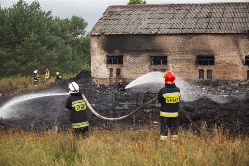 Pożar składowiska opon w Łabiszewie. Z płomieniami walczyło...