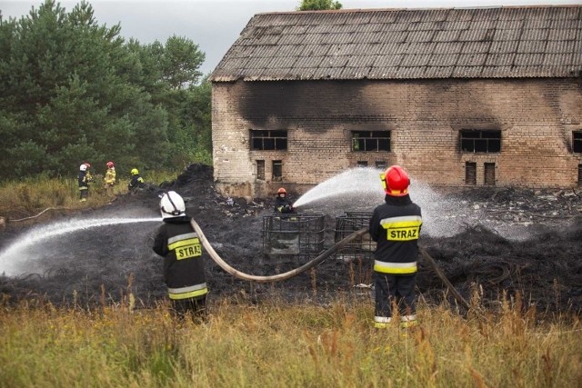 Pożar składowiska opon w Łabiszewie. Z płomieniami walczyło 11 zastępów straży pożarnej
