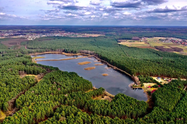 Stawy Milickie i Dolina Baryczy to jeden z największych rezerwatów przyrody w Polsce, europejska ostoja ptaków BirdLife International oraz miejsce, gdzie znajduje się jeden z największych w Europie kompleksów stawów rybnych.Gęste lasy, kwieciste łąki i malownicze stawy stanowią unikalny w skali Europy obszar przyrodniczy, który przyciąga tłumy turystów. Jeśli szukacie spokoju i wytchnienia, wybierzcie się do miejsc, które są mniej popularne. Polecamy nieodkryte atrakcje Dolny Baryczy. Zobaczcie, gdzie pojechać, żeby odpocząć i zobaczyć miejsca, w których nie ma tłumów turystów na kolejnych slajdach.