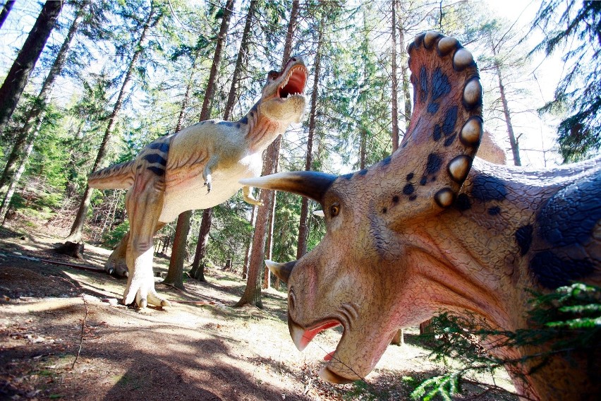 W Szklarskiej Porębie można spotkać dinozaury na leśnej...