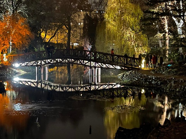 Światłogród w Ogrodzie Botanicznym Uniwersytetu Wrocławskiego przy ul. Sienkiewicza. Zobaczcie, jak wygląda to w tym roku