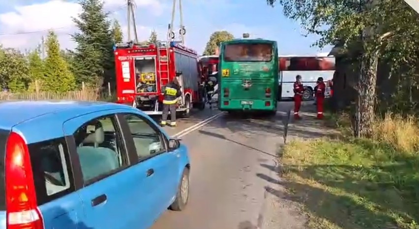Wypadek autobusów w Pankach