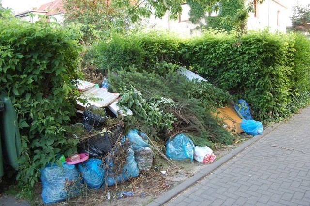 Tak wyglądały boksy śmietnikowe na Sępolnie i Biskupinie w ubiegłym roku. Teraz wreszcie może być porządek