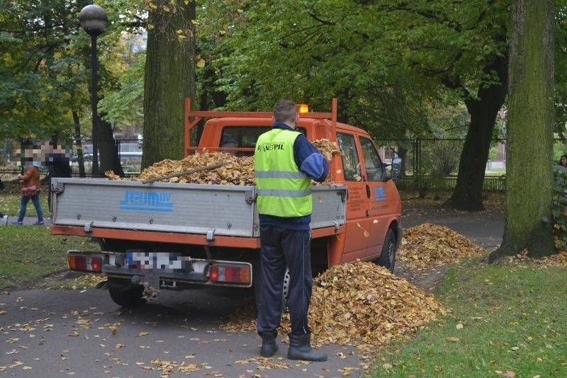 Sprzątają liście w parkach. We wrześniu zebrali 117 ton 