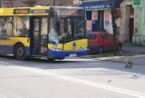 Wypadek w Kaliszu: Autobus miejski zderzył się z samochodem [ZDJĘCIA]