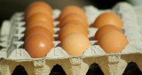 Statystyczny Kowalski zjada rocznie 150 jaj. Ile za nie płaci?