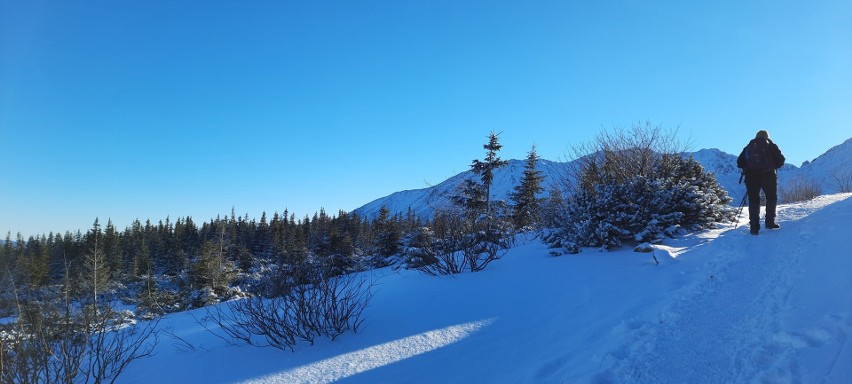 Tatry. Zimowa Hala Gąsienicowa w styczniowym słońcu. Wycieczka w góry dla piechurów i narciarzy. Wspaniałe widoki [ZDJĘCIA]