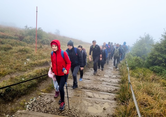 Turyści, którzy 2 października tłumnie przyjechali do Wołosatego w Bieszczadach, byli nieco zawiedzeni brakiem pięknych widoków z Tarnicy - najwyższego szczytu gór na Podkarpaciu. Tuż za granicą lasu przez większą część dnia utrzymywała się gęsta mgła. Zobaczcie zdjęcia!