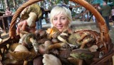 Mistrzostwa w zbieraniu grzybów w Korzybiu. Dopisała pogoda i grzyby (zdjęcia, wideo)