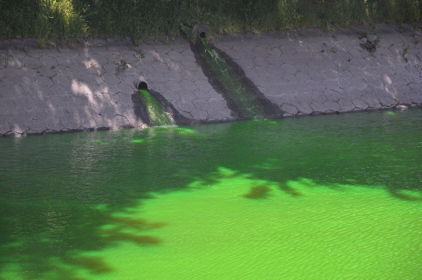 Zielona woda w fosie - to tylko sprawdzanie szczelności...