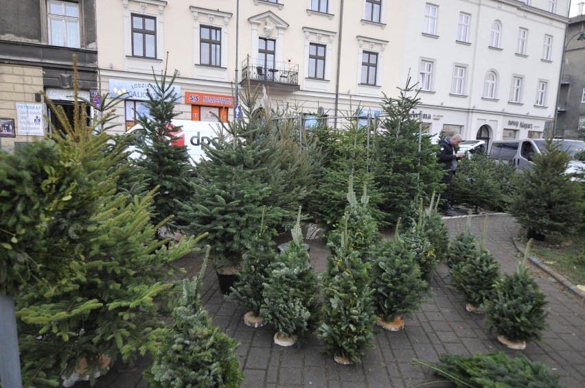 Kraków. Daj drugie życie swojej świątecznej choince