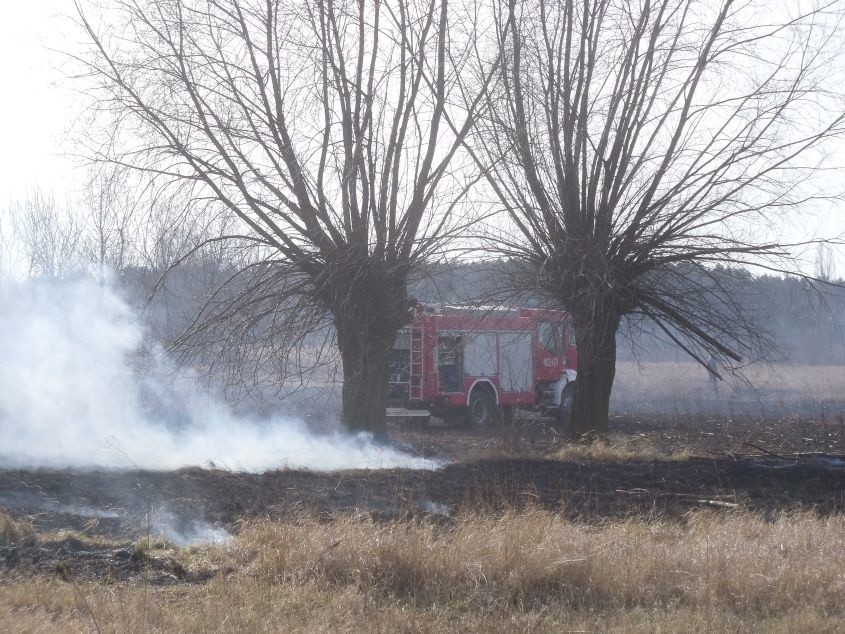 Pożar łąki na obrzeżach Ciechocinka