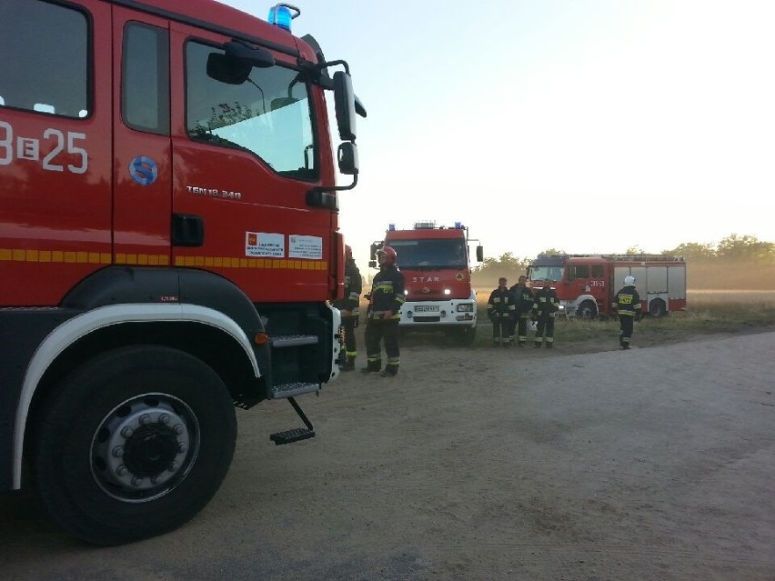 Pożar wysypiska śmieci w Mostkach koło Zduńskiej Woli