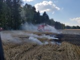 W gminie Czarne po raz kolejny płonął kombajnu. W Pokotulsku płonęła trawa. Było zagrożenie pożaru lasu