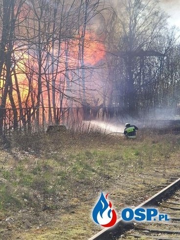 Wielki pożar tartaku w Dziemianach pod Kościerzyną, 14.04. 2019. Aż 22 zastępy strażaków brały udział w akcji gaśniczej [zdjęcia, video]