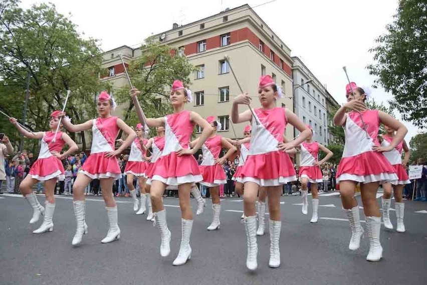 Święto kwitnących głogów Katowice Ligota