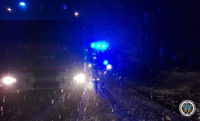 Wypadek w miejscowości Serwatki. Kobieta straciła panowanie i uderzyła w drzewo