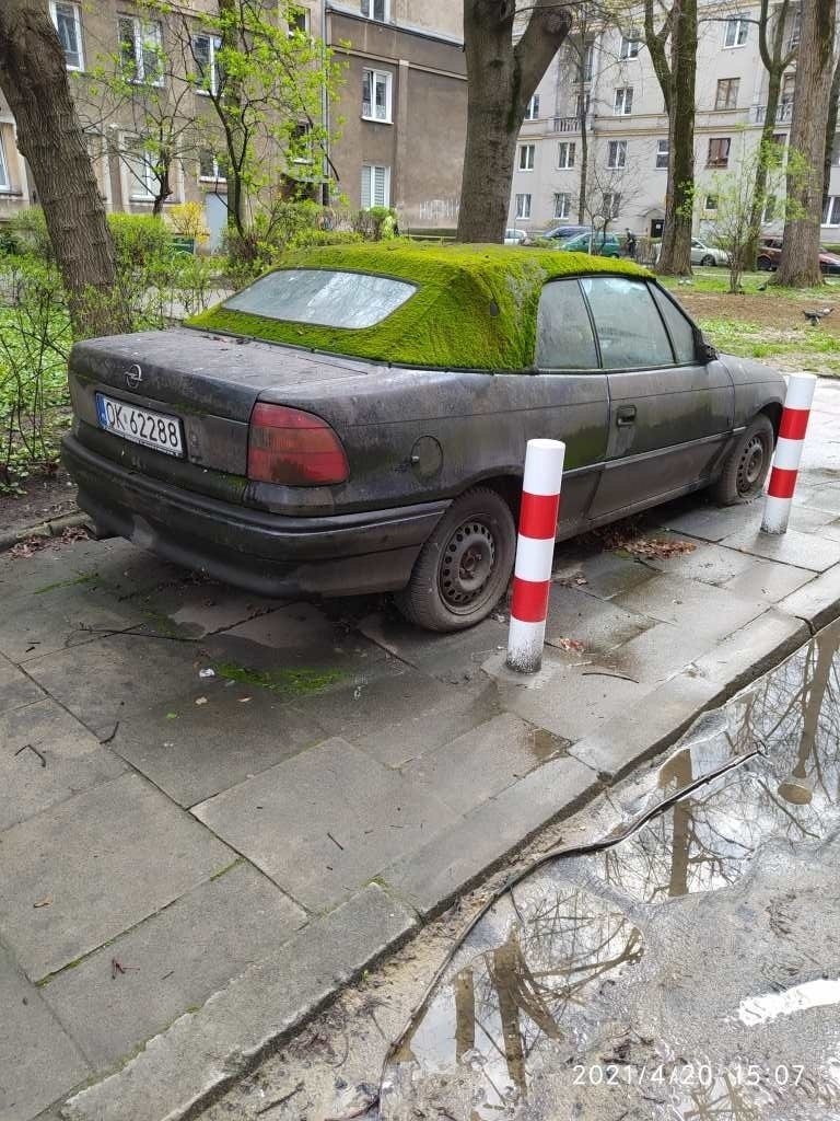 Ciekawy przypadek. Widać jak władze miasta działają, bo wrak...