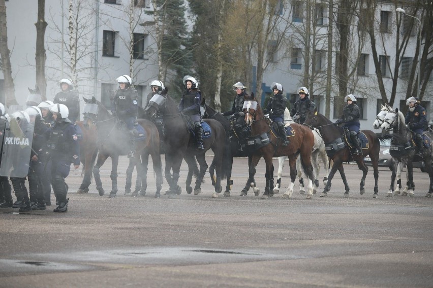 Manewry i ćwiczenia z udziałem policji konnej - w ramach...
