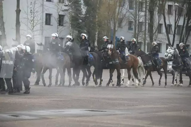 Manewry i ćwiczenia z udziałem policji konnej - w ramach atestacji - odbyły się na terenie Oddziału Prewencji Policji w Łodzi przy ul. Pienistej na Retkini.