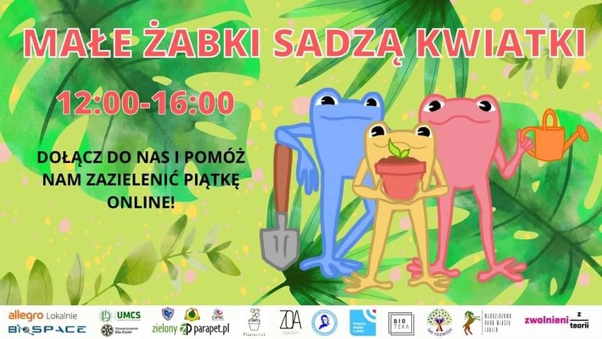 Lublin: „Małe żabki posadzą kwiatki". Uczniowie V LO zazielenią szkołę na wiosnę                       