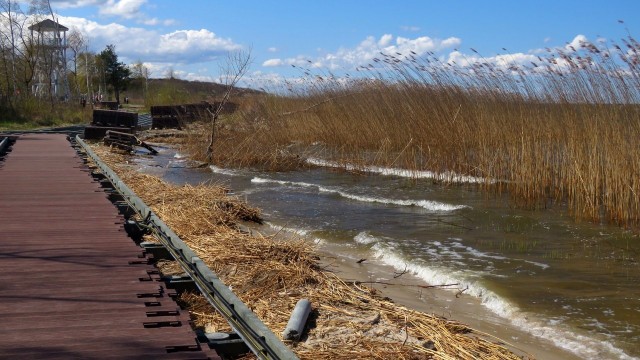 Promenada w Trzebieży – 25.04.2021