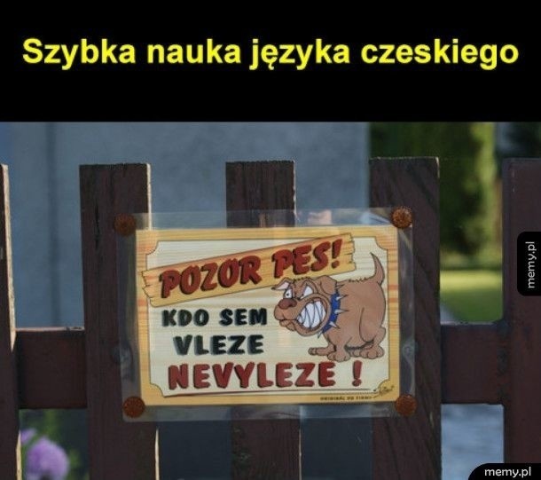 Czeskie memy to fenomen internetu i duża dawka świetnego...