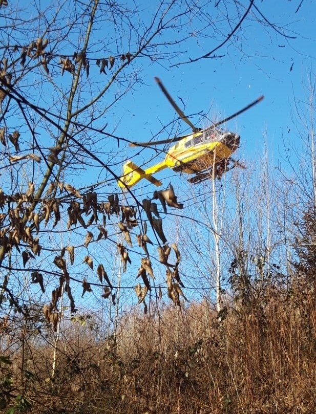 W Żarnowej k. Strzyżowa drzewo przygniotło 43-letniego mężczyznę. Na ratunek przyleciał śmigłowiec Lotniczego Pogotowia Ratunkowego