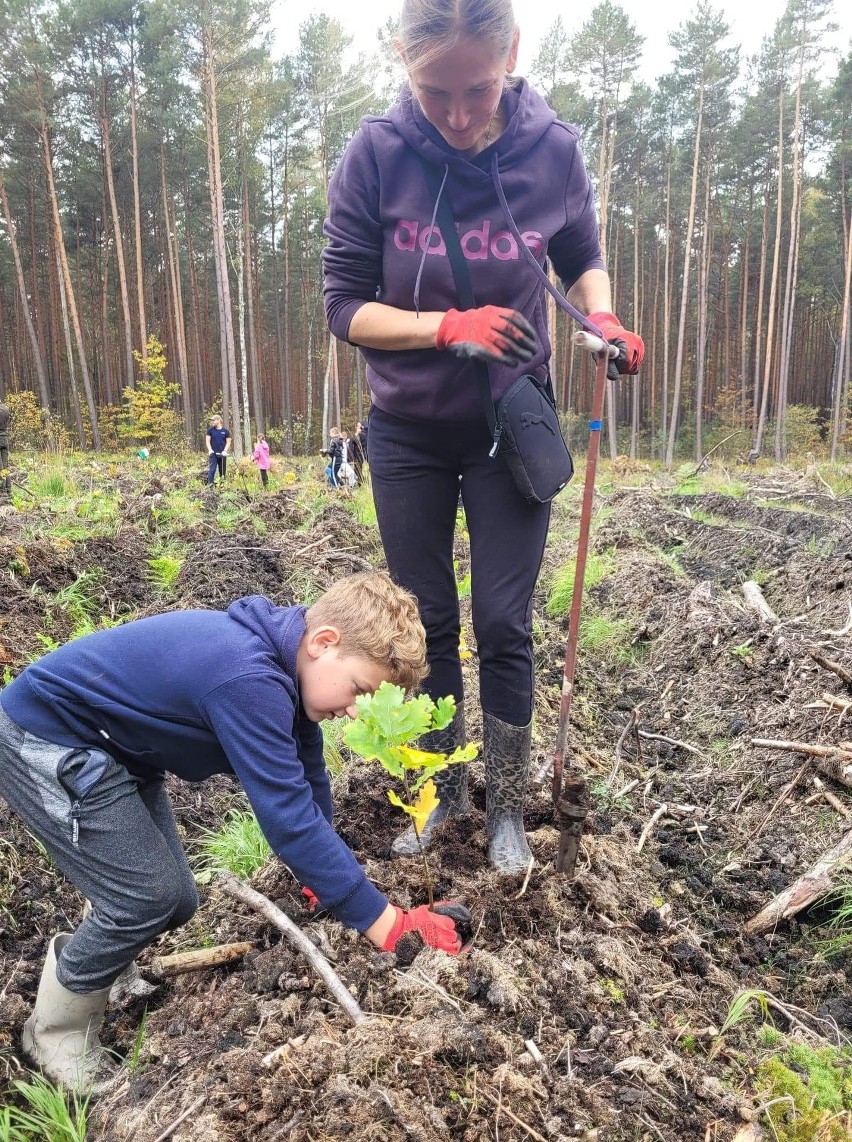Ekipa Lodowcowa z Szydłowca sadziła drzewa w Sadku. Akcja cieszyła się dużym zainteresowaniem dorosłych i dzieci. Zobacz zdjęcia
