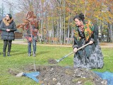 ZAKOPANE. Zasadzili dęby z okazji 83. rocznicy praw miejskich