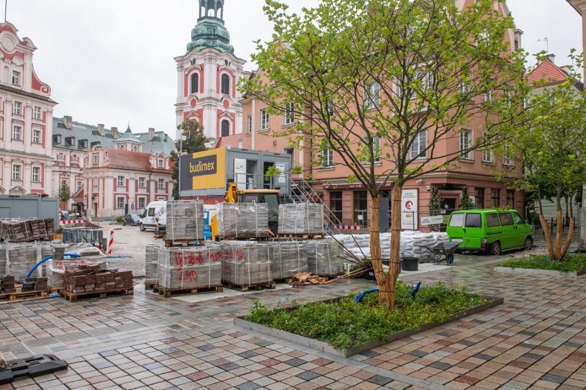 Po przebudowie plac Kolegiacki w Poznaniu ma być miejscem...