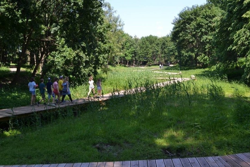 W parku w Wojanowie znajduje się także drewniany pomost...