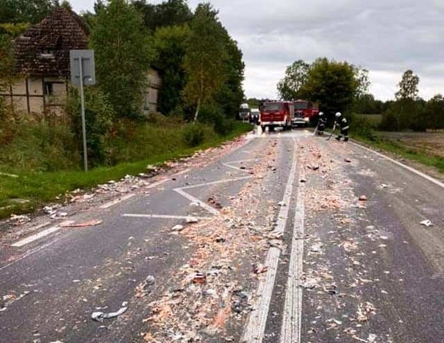 Śmierdząca kolizja. Cuchnące odpadki ryb na drodze 211.