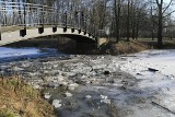 Akcja ratunkowa na toruńskiej martówce. Strażacy szukali dziecka [ZDJĘCIA]