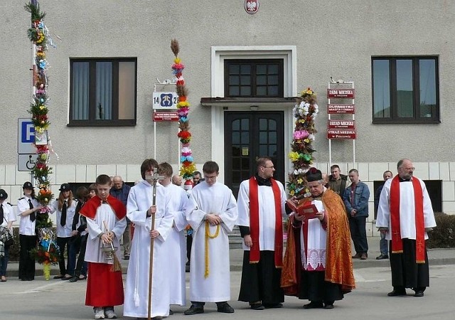 W niedzielę przed pińczowskim ratuszem zaprezentowano najwyższe palmy z rejonu gminy Pińczów.