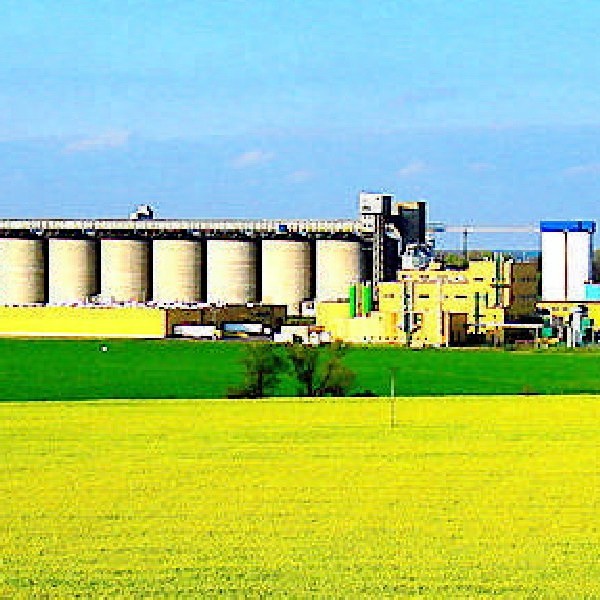 Najbardziej znanym produktem Zakładów Tłuszczowych Kruszwica, jest znakomity Olej Kujawski, określany jako marka flagowa.